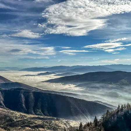 Daire Basic Medo Vlasic