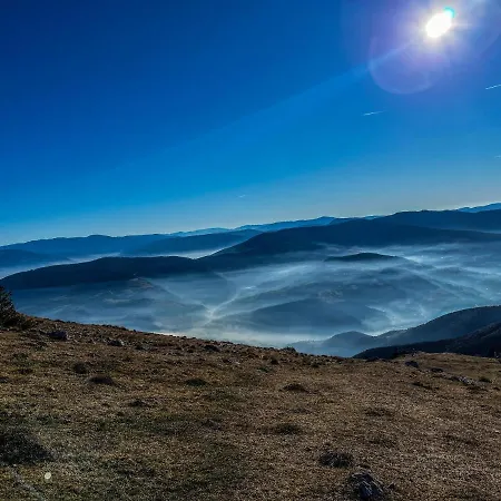 Daire Basic Medo Vlasic