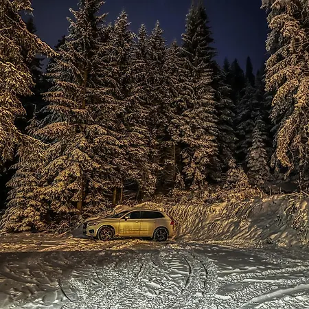 Basic Medo * Vlašić