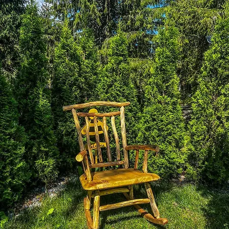 Basic Medo Daire Vlasic