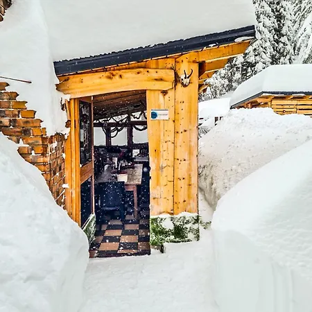 Basic Medo * Vlašić