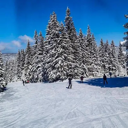 Basic Medo * Vlašić