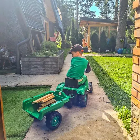 Basic Medo Lejlighed