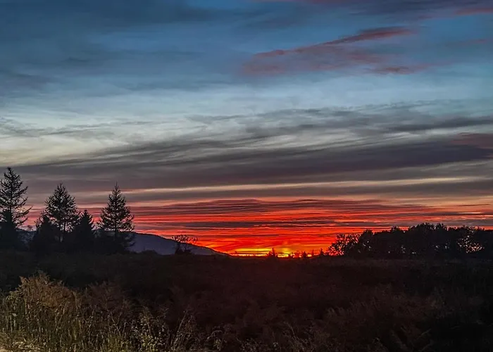 Basic Medo Sauna & Jacuzzi *