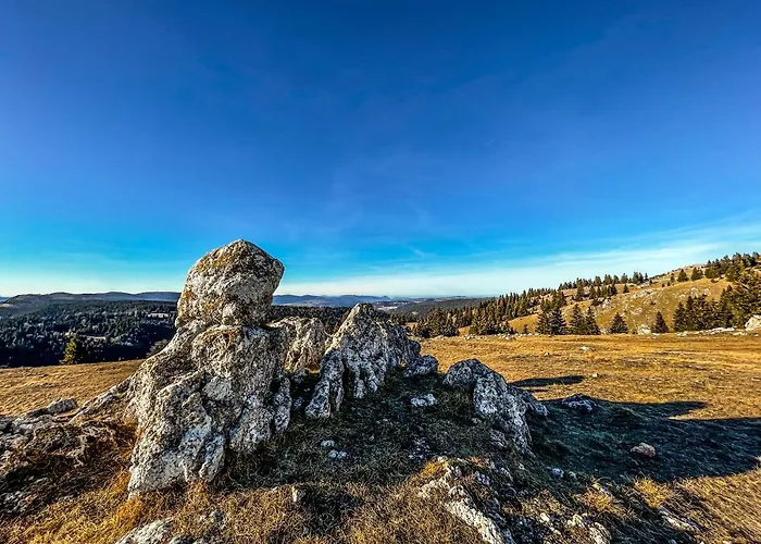 Basic Medo Sauna & Jacuzzi *