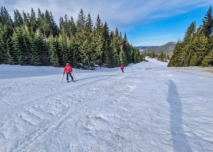 Basic Medo Sauna & Jacuzzi