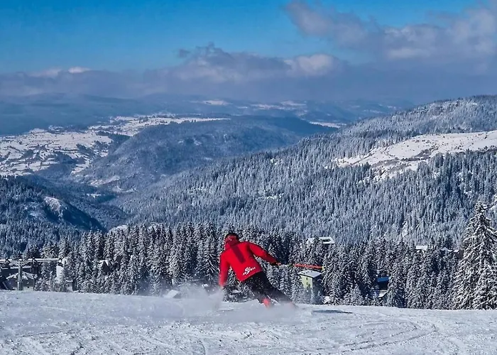 Basic Medo Sauna & Jacuzzi