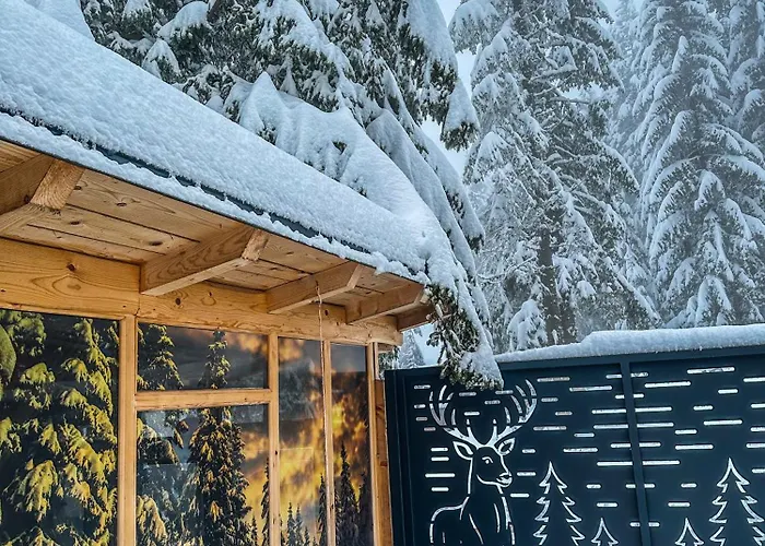 Vila Basic Vlasic Medo Spa Apartment Sauna & Jacuzzi Apartman *